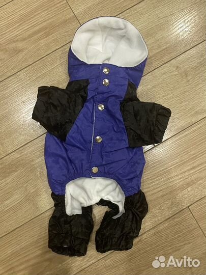 Одежда для собак мелких пород