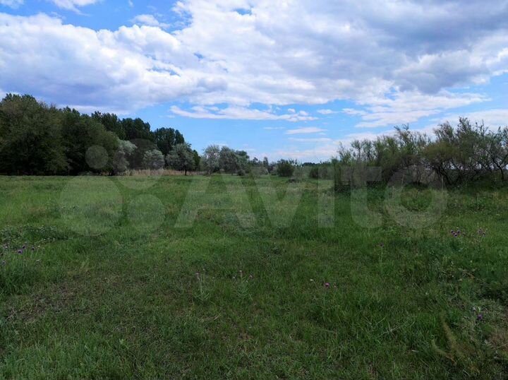 Участок 9 га (СНТ, ДНП)