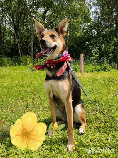 Сестрёнки с приюта