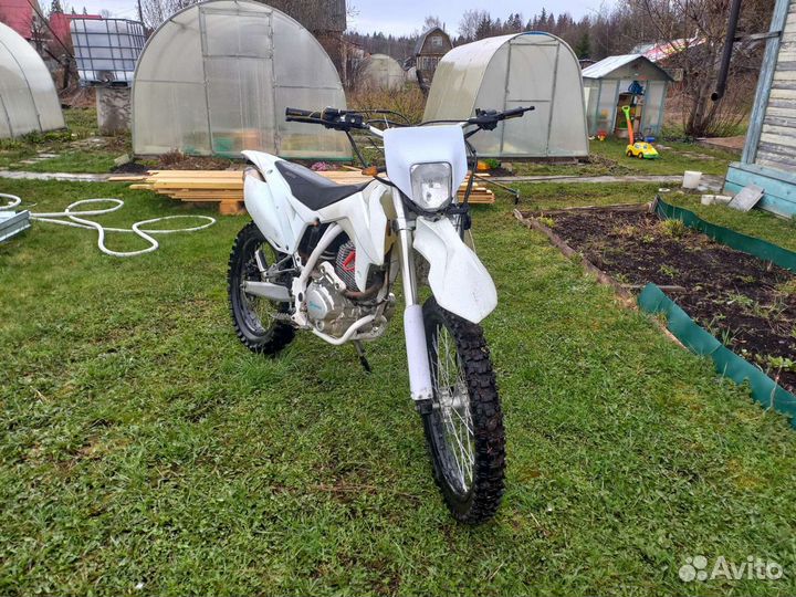Avantis fx 250 lux