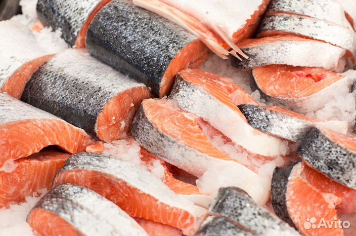 Продается прибыльный магазин рыбы и морепродуктов