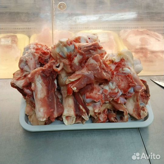 Костя для собак