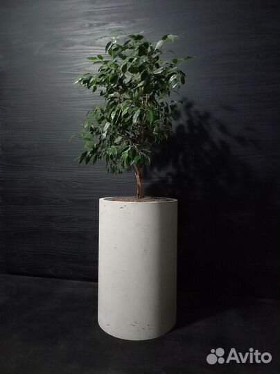 Вазоны, Горшки, Кашпо под заказ из бетона