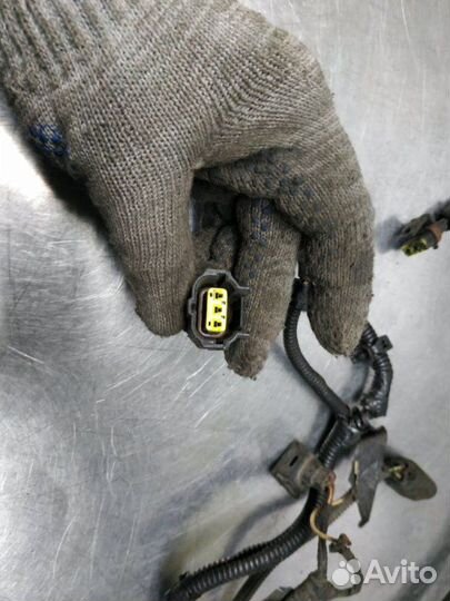 Проводка двс Ford Focus CAK cdda 2002