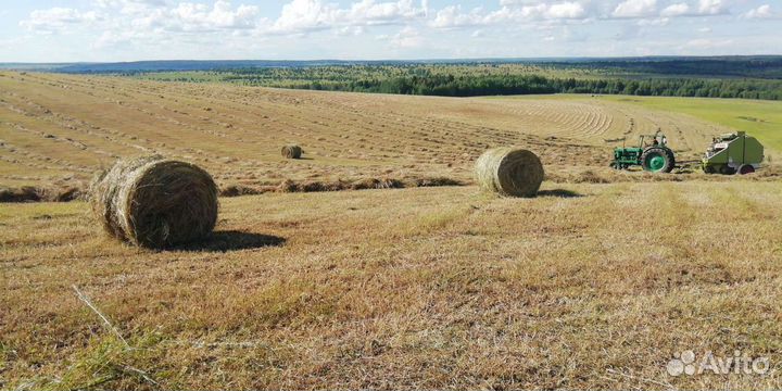 Продам луговое сено в рулонах