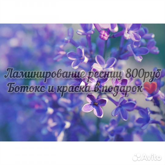 Ламинирование и ботокс ресниц