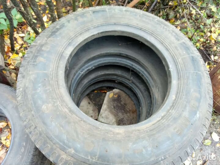 Accelera Beta 5/5 R5 19