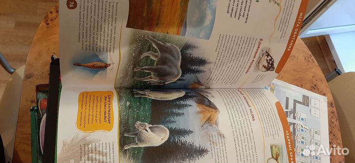 Энциклопедия