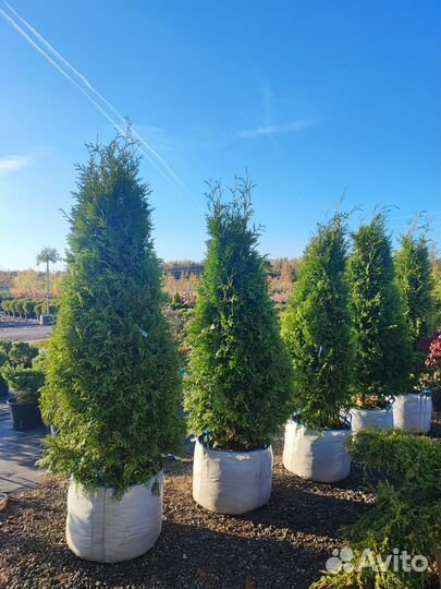 Водитель универсал