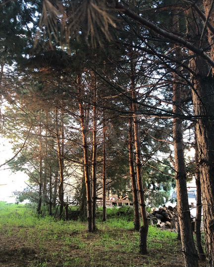 Дом 72 м² на участке 25 сот.