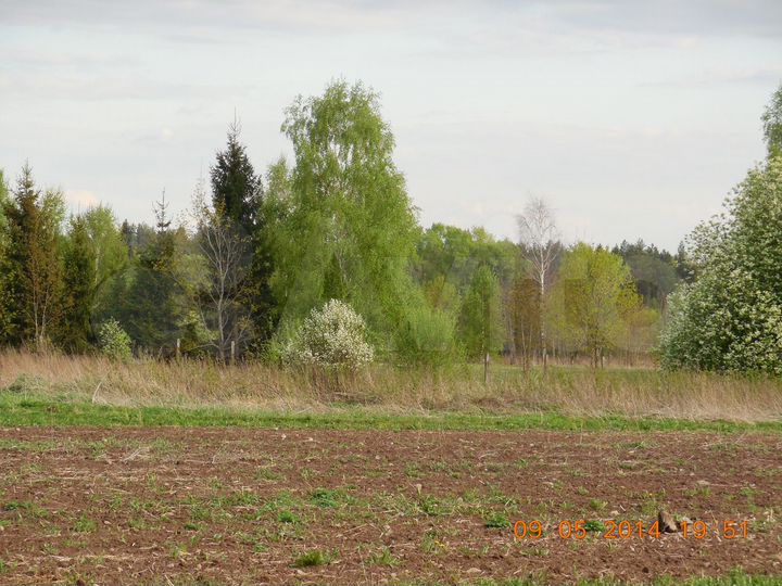 Дом 40 м² на участке 18 сот.