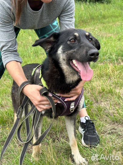 Очаровательная Хади ищет семью