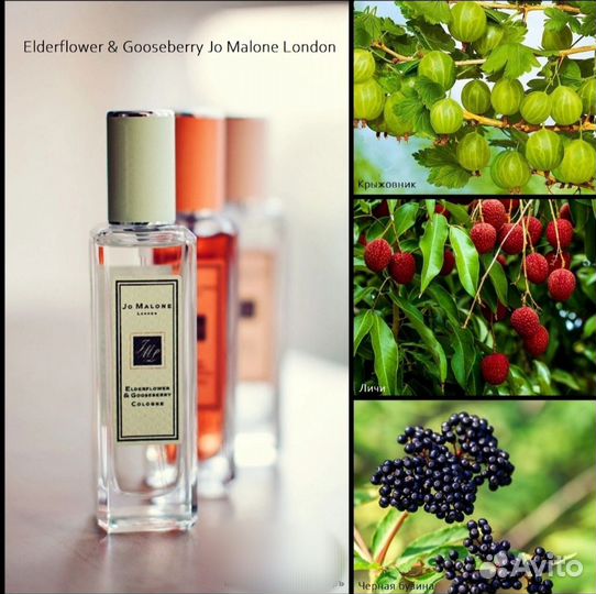 Духи JO malone elderflower