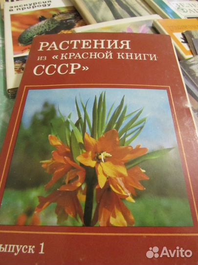 Наборы открыток