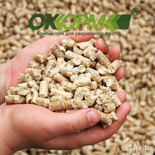 Комбикорм