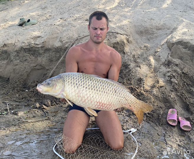 Жмых самодельный макуха