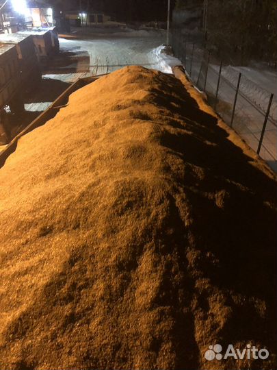 Овес, пшеница,зерносмесь