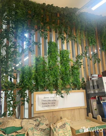 Озеленение интерьера, ресторанов, квартир