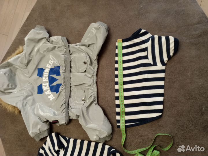 Одежда для собак мелких пород