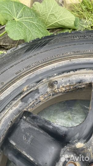 Dunlop Graspic DS3 195/55 R16