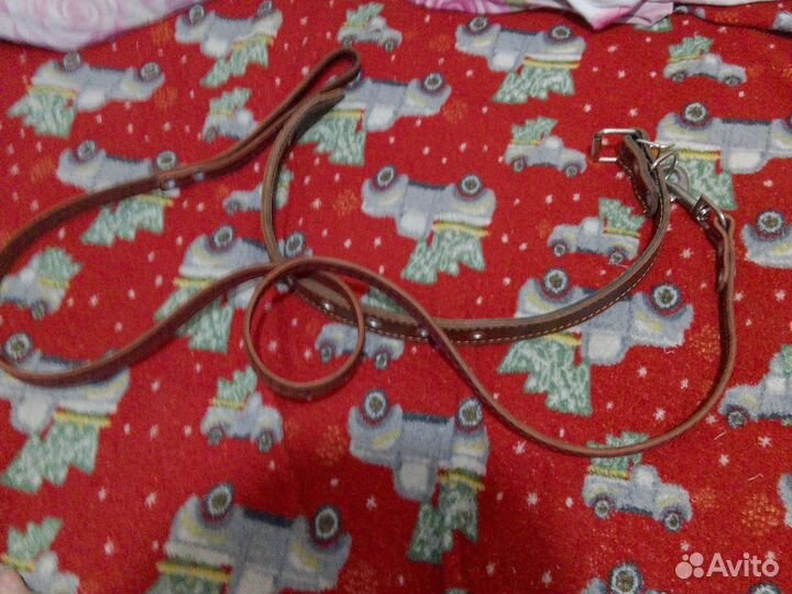 Поводок для собак