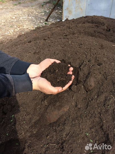 Перегной коровий.Доставка
