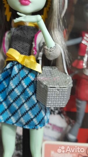 Кукла Монстер Хай Френки пикник