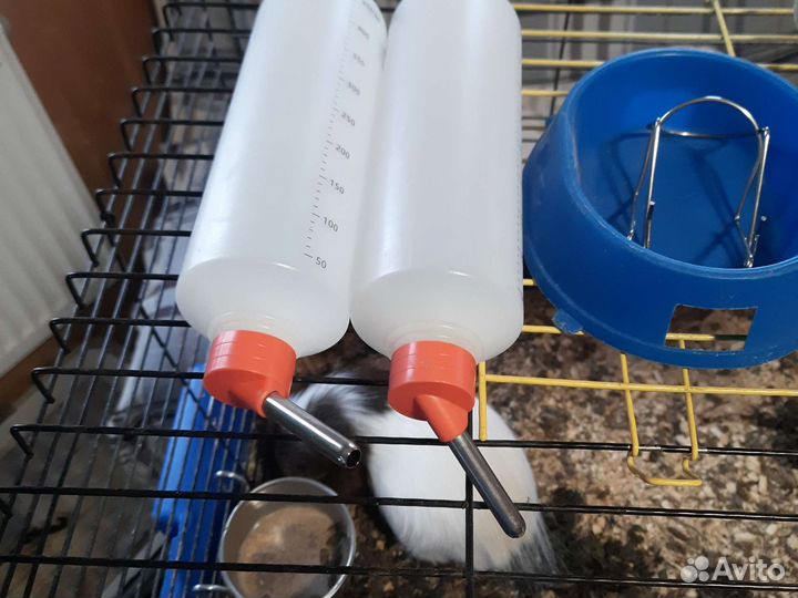 Домик поилки,миски