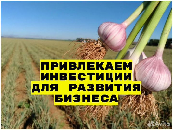 Привлекаем инвестиции в сельское хозяйство