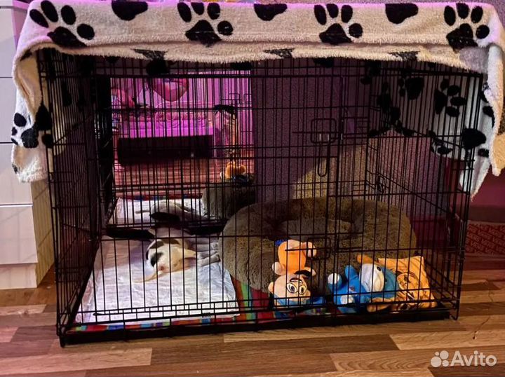 Клетка для собак №5 новая