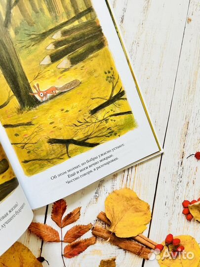 Книги детские Оливье Таллек