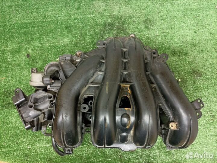 Коллектор впускной Ford Focus qqdb 2009