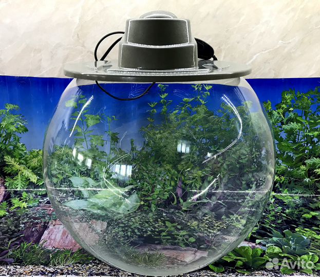 Аквариум с тумбой 100 л