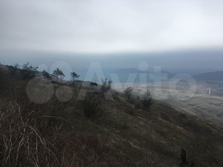 Участок 22,4 сот. (СНТ, ДНП)