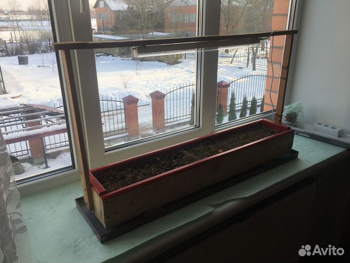 Ящик для рассады