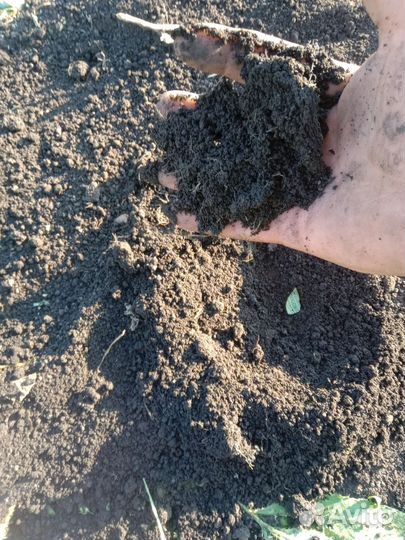 Грунт плодородная земля