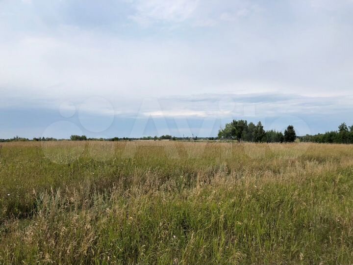 Участок 16 га (промназначения)