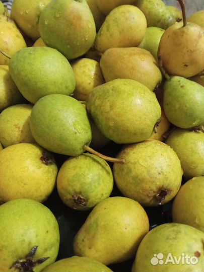 Груши яблоки
