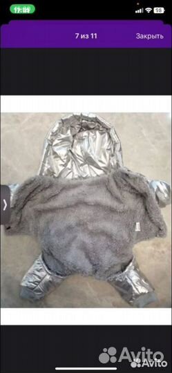 Одежда для маленьких собак зимняя