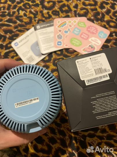 Капсула маруся