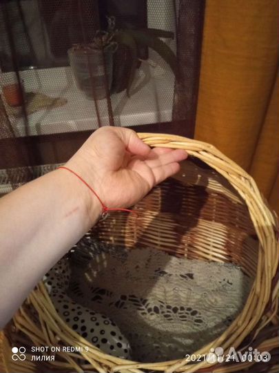 Лежанка для кошек бу
