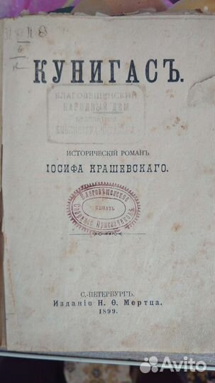 Иосиф крашевский роман.Кунигась