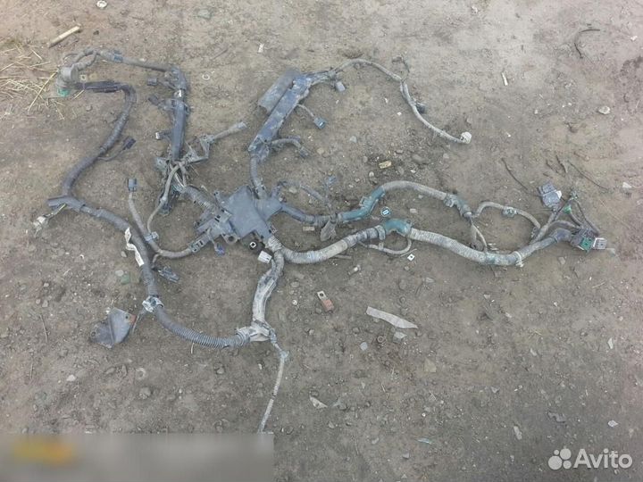 Проводка (коса) Honda Accord viii 2008-2013