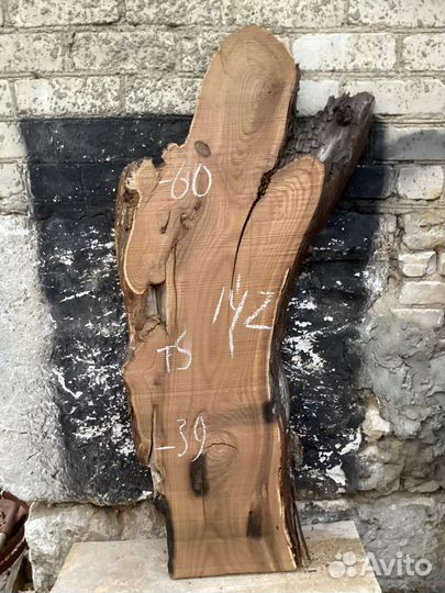 Слэб маслины