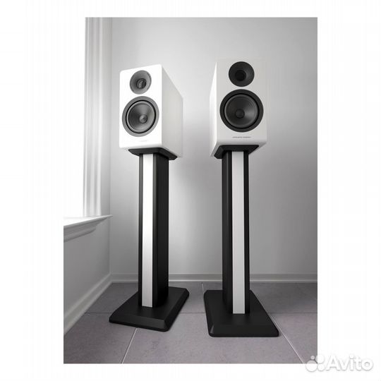 Полочная акустика Acoustic Energy AE300 (2018) Pia