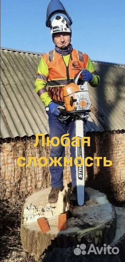 Спил деревьев/Измельчение веток/ Удаление пней