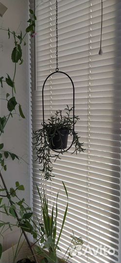 Кашпо подвесное в стиле лофт