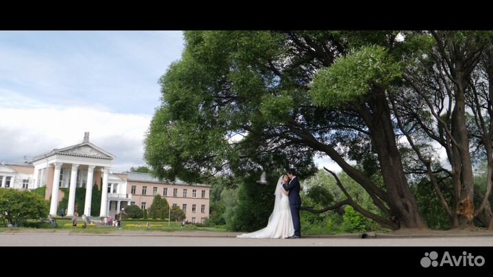 Видеооператор. Свадебные и документальные съемки