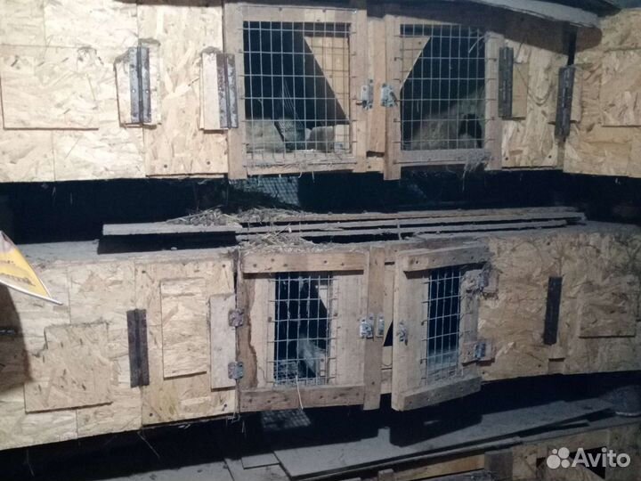 Клетки для кроликов бу