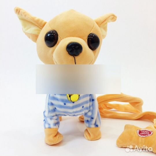 Собачка с Поводком, Поющая